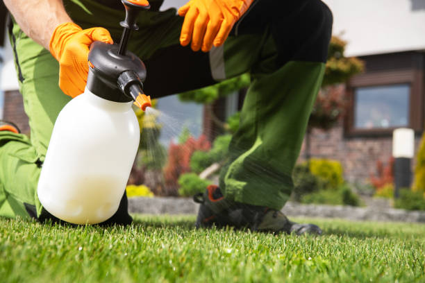 Best Cockroach Control Services  in Wetumka, OK