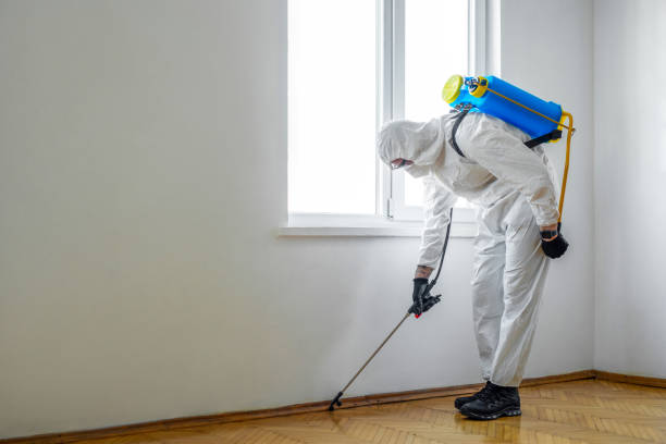 Best Best Pest Control Companies  in Wetumka, OK