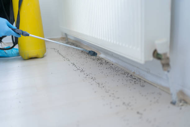 Pest Prevention Services in Wetumka, OK